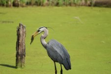 IMG_0280 (1280x853).jpg