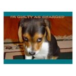 im_guilty_as_charged_postcard-rb95713466e454e02a7e9611b55273e11_vgbaq_8byvr_512.jpg