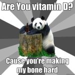 pickup-line-panda.jpeg