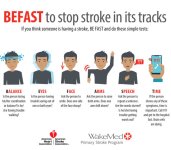 be-fast-stroke-2019.jpg