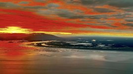 Screen Shot 2023-07-14 at 8.51.46 PM copy.jpg