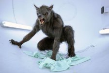 Werewolf-1.jpg