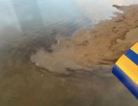 Screen Shot 2023-07-21 at 4.22.51 PM copy.jpg