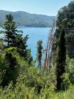 IMG_0552.jpeg IMG_0552.jpeg