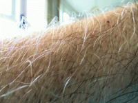 forewarned is forearmed.gif