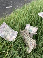 IMG_3318.jpeg IMG_3318.jpeg