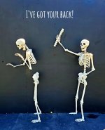 ItSkeletal-skeleton-art-1ve-got-your-back.jpg