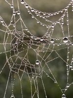 IMG_2148.jpeg