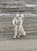 Screen Shot 2023-09-17 at 8.50.09 AM copy.jpg