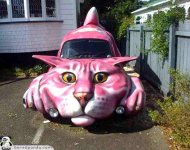 weird-unusual-cars-cat.jpg