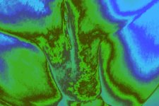 InShot_20231001_113608825.jpg InShot_20231001_113608825.jpg