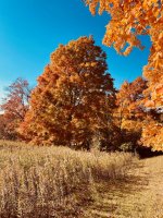 IMG_3946.jpeg IMG_3946.jpeg