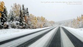 385265758_721971763306804_3119827489378125113_n copy.jpg