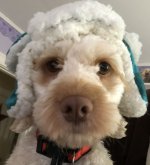 FullSizeRender.jpeg FullSizeRender.jpeg