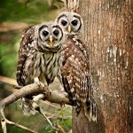 Screenshot_20231107_153538_Firefox.jpg Screenshot_20231107_153538_Firefox.jpg