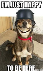 1699885615057.png 1699885615057.png