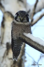 405236537_851731916954644_2907846926406321188_n.jpg 405236537_851731916954644_2907846926406321188_n.jpg