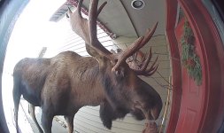 403857158_10227018151053520_8420607190920129035_n.jpg 403857158_10227018151053520_8420607190920129035_n.jpg