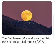 Screenshot_20231129-072037_Chrome.jpg Screenshot_20231129-072037_Chrome.jpg