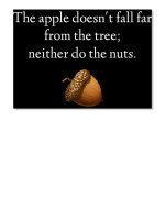 1701512350417.jpeg 1701512350417.jpeg