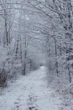 Screenshot_20231202_143054_One UI Home.jpg