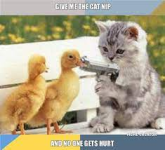 1704933383131.png 1704933383131.png