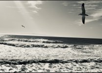 IMG_6623.jpeg IMG_6623.jpeg