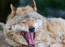 IMG_6795.jpeg IMG_6795.jpeg