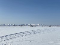 Screen Shot 2024-01-19 at 5.28.51 PM copy.jpg