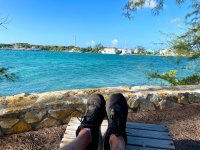 IMG_2828.jpeg IMG_2828.jpeg