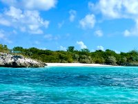 IMG_2632.jpeg IMG_2632.jpeg