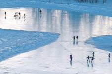 Screen Shot 2024-01-20 at 11.32.49 AM copy.jpg