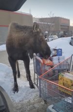 Screen Shot 2024-02-10 at 7.05.27 PM copy.jpg