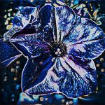 Untitled Project.jpg