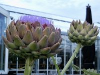 DSCN0833.JPG DSCN0833.JPG