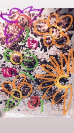 IMG_3376.jpeg IMG_3376.jpeg