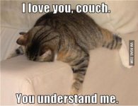 i love you couch.jpeg