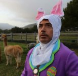 robert-downey-jr-in-a-bunny-suit-211557-664047314.jpg