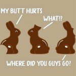 chocolate bunny.jpg