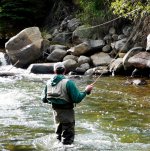 fisherman_fishing_Clear_Creek_County-e1597463063824.jpg