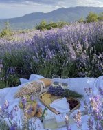 2024-04-03 18.11.43.jpeg