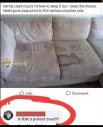 pullout couch.jpg