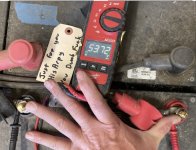 IMG_4828.jpeg IMG_4828.jpeg