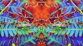 Untitled Project.jpg