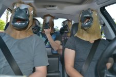 b4bdbdd3f7cb89a6c2cfb3bc264305e9--horse-mask-funny-funny-horses.jpg