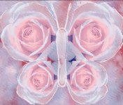 ButterflyRose.jpg