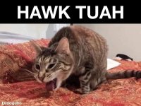 hawk tuah.jpg