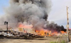 Screen Shot 2024-06-27 at 5.33.51 PM copy.jpg