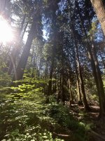 IMG_2518.jpeg IMG_2518.jpeg