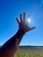 1720528659999.jpeg 1720528659999.jpeg